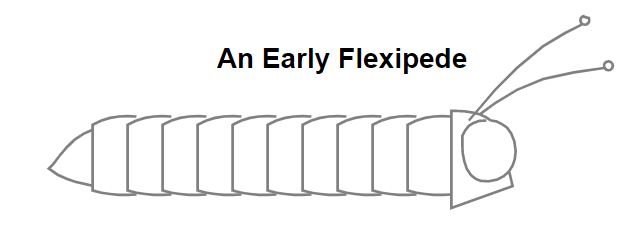 Early Flexipede