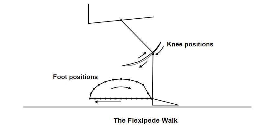 the flexipede walk